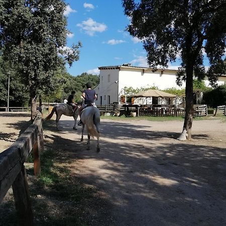 Casa Rural, Can Cirera Serinya ภายนอก รูปภาพ
