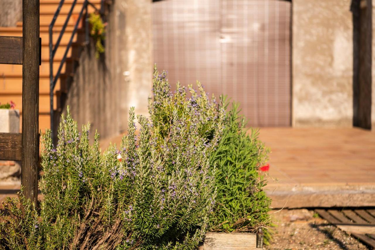 Casa Rural, Can Cirera Serinya ภายนอก รูปภาพ